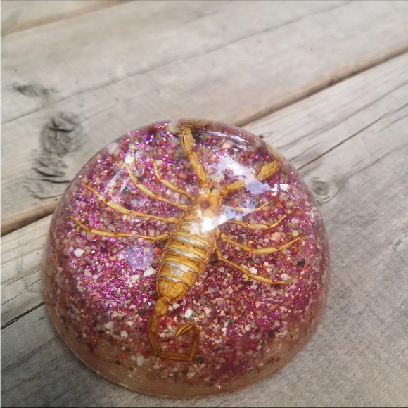 Vintage Real Scorpion Insect Dome 3.5" Paperweight Taxidermy from Maack Co. - Picture 5 of 7